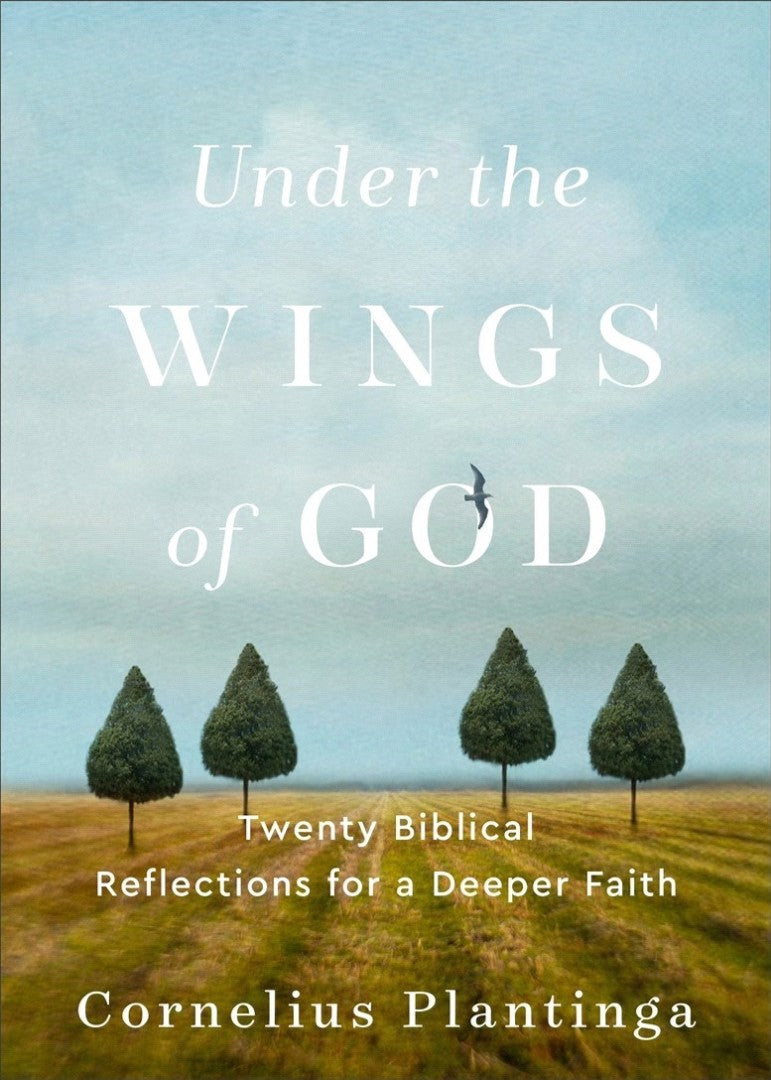Under the Wings of God - Re-vived