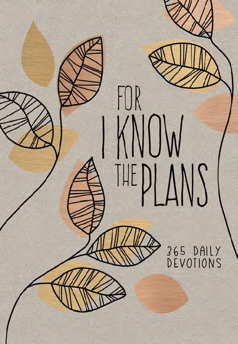 For I Know the Plans - Re-vived