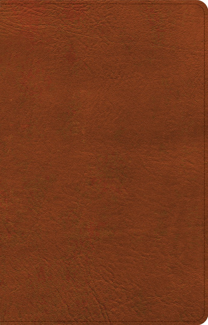 NASB Large Print Thinline Bible, Burnt Sienna Leathertouch - Re-vived