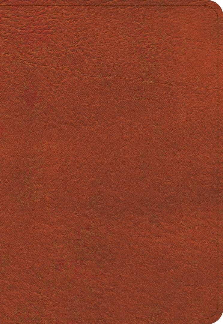KJV Large Print Compact Reference Bible, Burnt Sienna - Re-vived