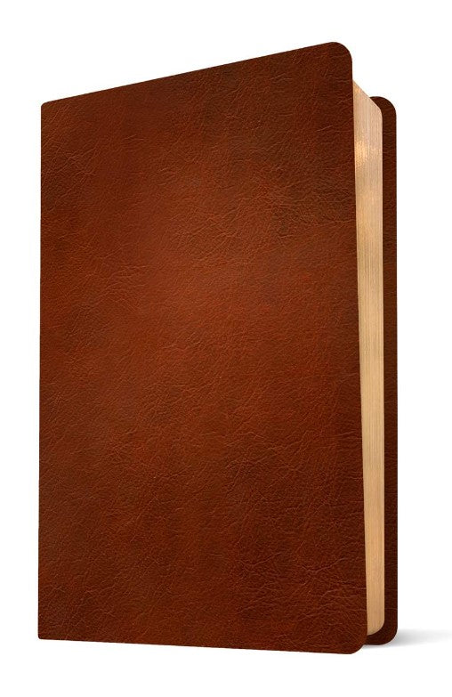 NLT Thinline Center-Column Reference Bible, Filament Edition - Re-vived