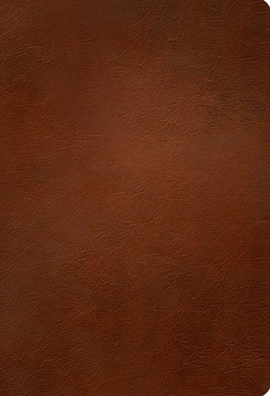 NLT Thinline Center-Column Reference Bible, Filament Edition - Re-vived