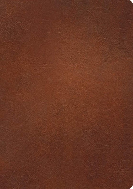NLT Courage for Life Study Bible for Women, Filament Edition