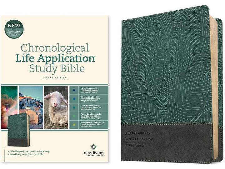 NLT Chronological Life Application Study Bible, Slate Blue
