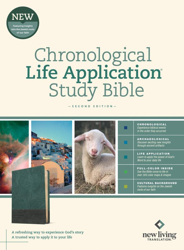 NLT Chronological Life Application Study Bible, Slate Blue