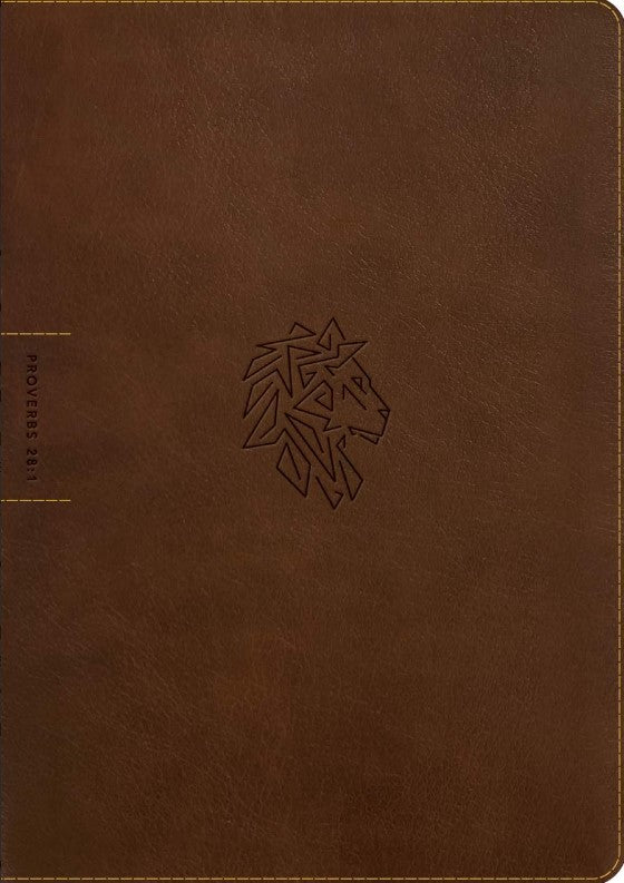 NLT Courage for Life Study Bible for Men, Filament Edition