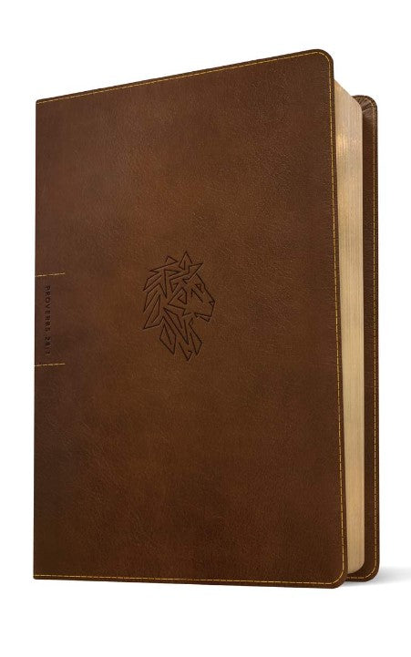 NLT Courage for Life Study Bible for Men, Filament Edition