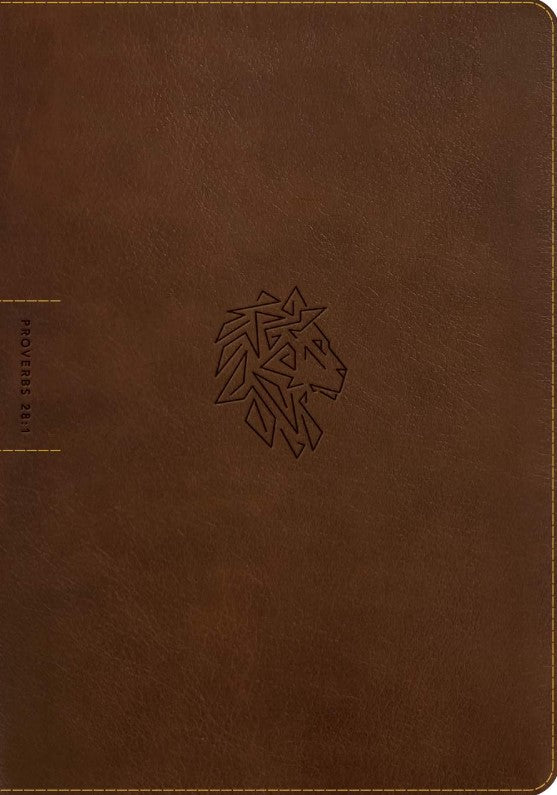NLT Courage for Life Study Bible for Men, Filament Edition - Re-vived