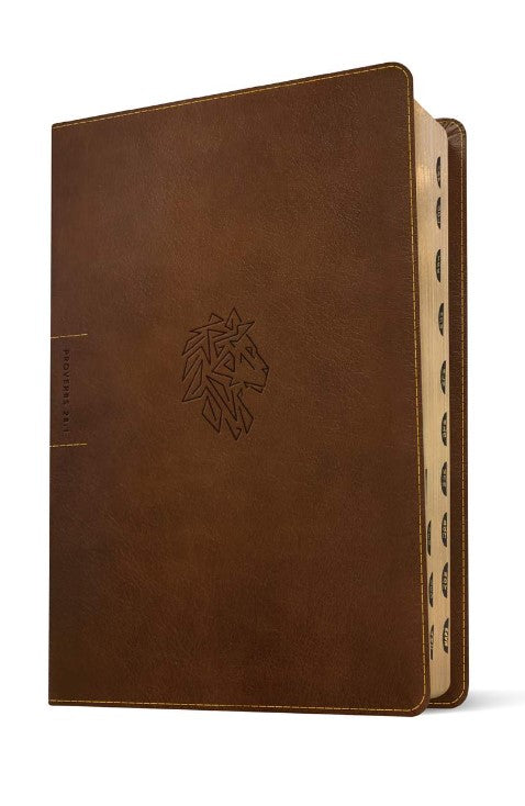 NLT Courage for Life Study Bible for Men, Filament Edition - Re-vived