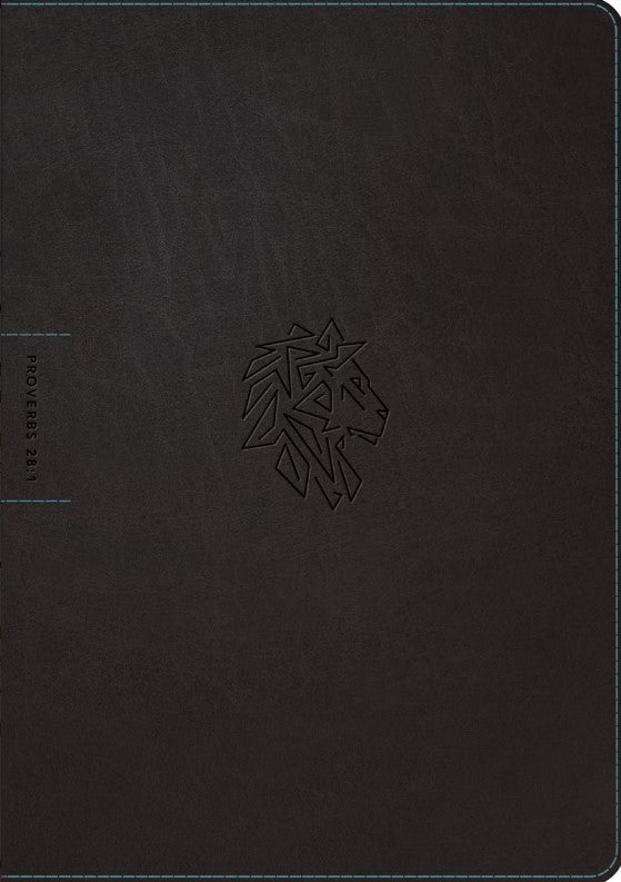 NLT Courage for Life Study Bible for Men, Filament Edition