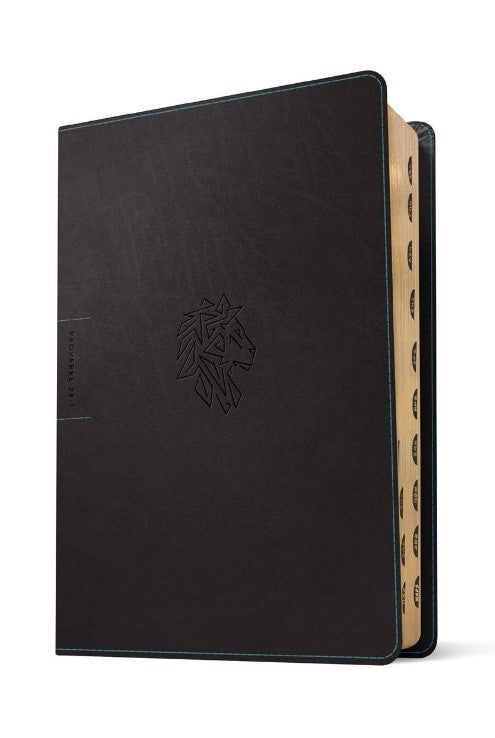 NLT Courage for Life Study Bible for Men, Filament Edition