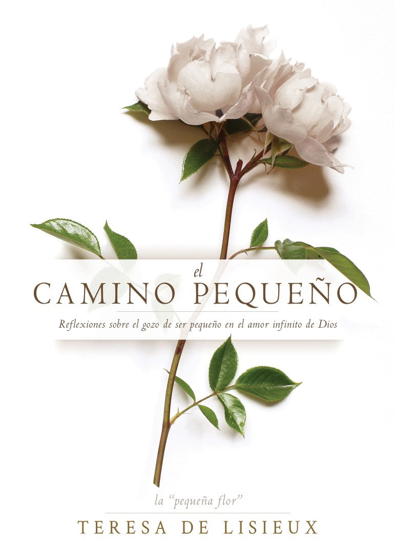 El Camino Pequeño - Re-vived