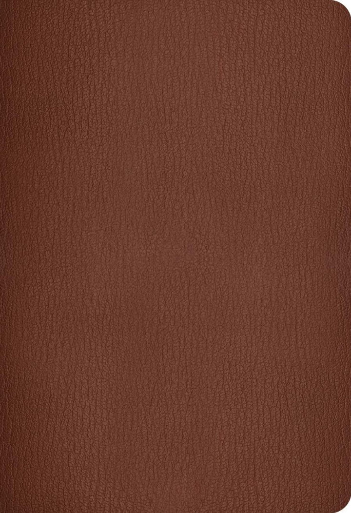 NLT Super Giant Print Bible Filament Edition, Brown, Indexed