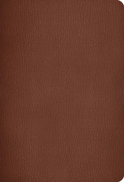 NLT Super Giant Print Bible Filament Edition, Brown, Indexed
