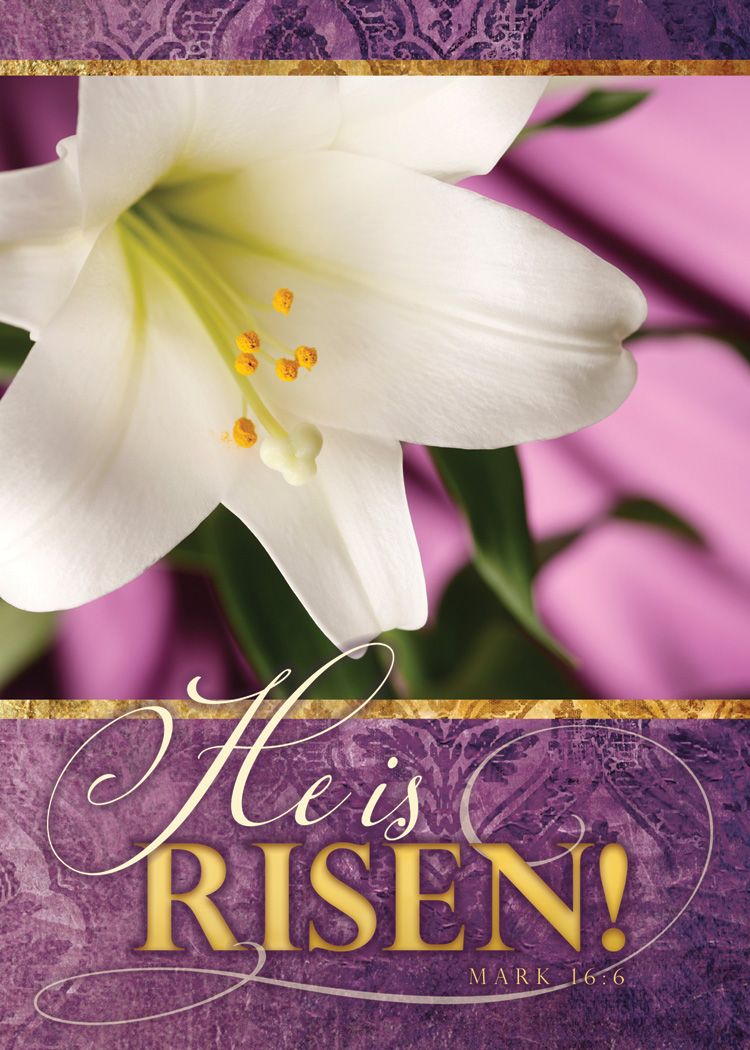 Resurrection Blessings Greetings Cards (Box of 12) - Re-vived