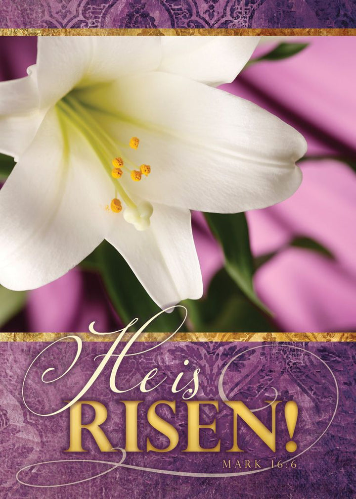 Resurrection Blessings Greetings Cards (Box of 12) - Re-vived