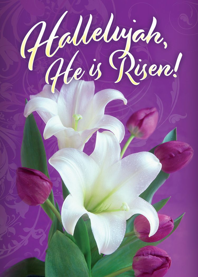 Resurrection Blessings Greetings Cards (Box of 12) - Re-vived