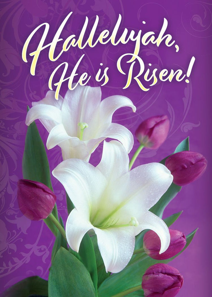 Resurrection Blessings Greetings Cards (Box of 12) - Re-vived