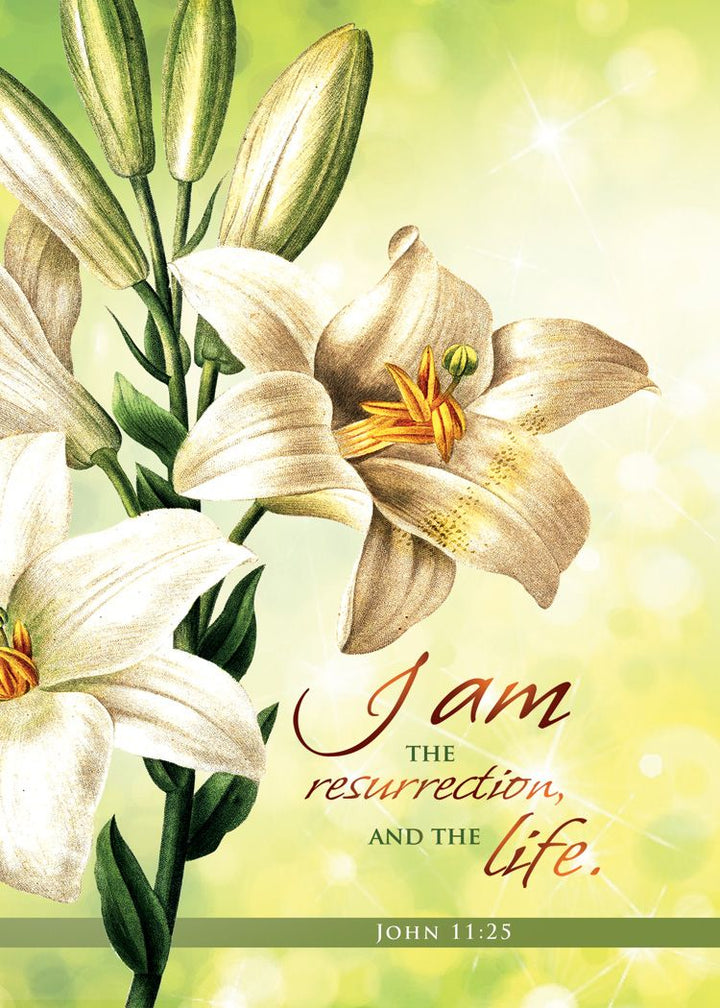 Resurrection Blessings Greetings Cards (Box of 12) - Re-vived