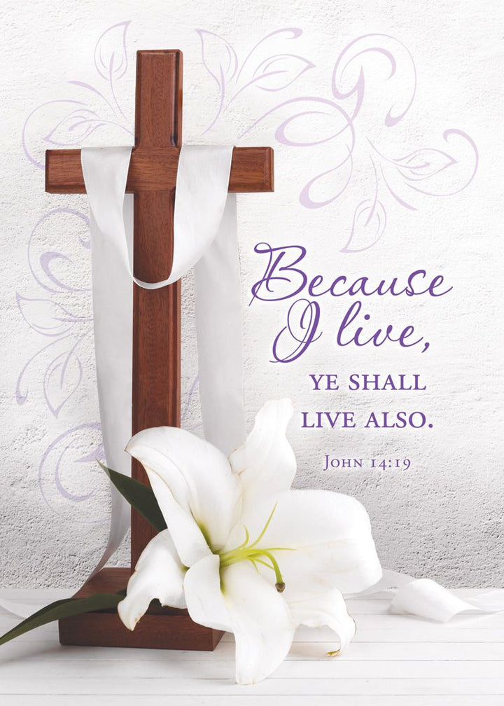 Resurrection Blessings Greetings Cards (Box of 12) - Re-vived