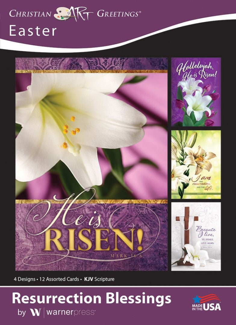 Resurrection Blessings Greetings Cards (Box of 12) - Re-vived