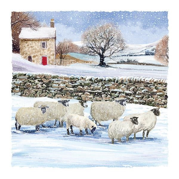 Winter Woolies Christmas Cards (pack of 10)