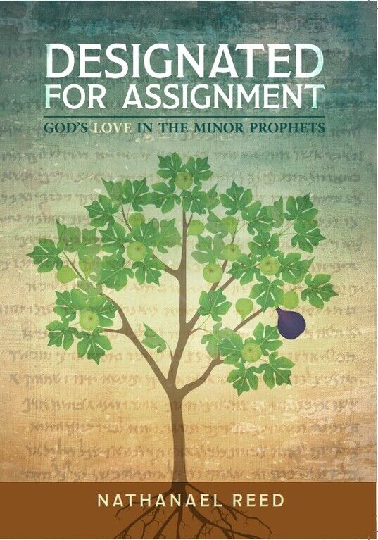 Designated for Assignment - Re-vived