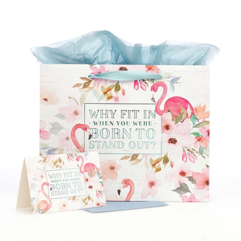 Why Fit In Large Gift Bag with Card Set