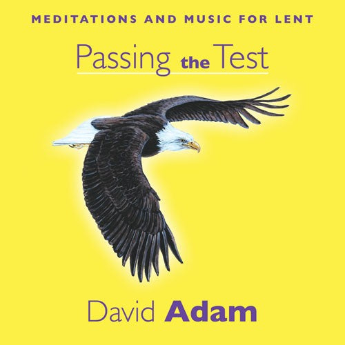 Passing The Test CD - Re-vived