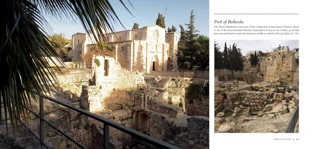 Experiencing Israel - Re-vived