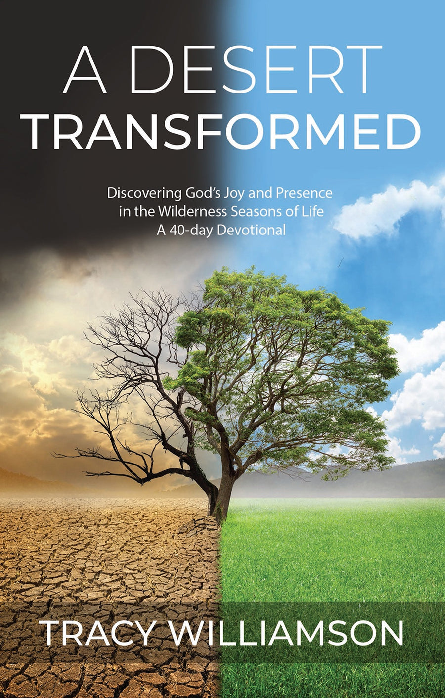 A Desert Transformed - Re-vived