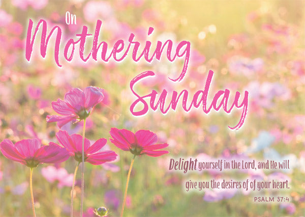 On Mothering Sunday - Postcard Pink (Pack of 24) - Re-vived