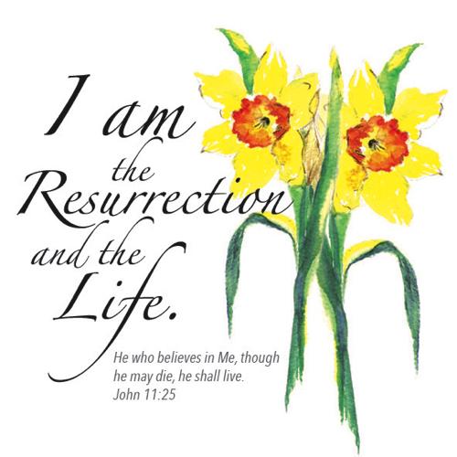 I Am the Resurrection Easter Cards (pack of 5) - Re-vived