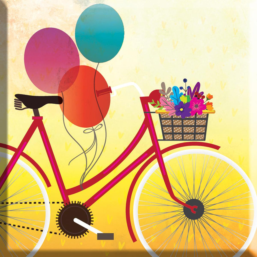 Bicycle Magnet - Re-vived