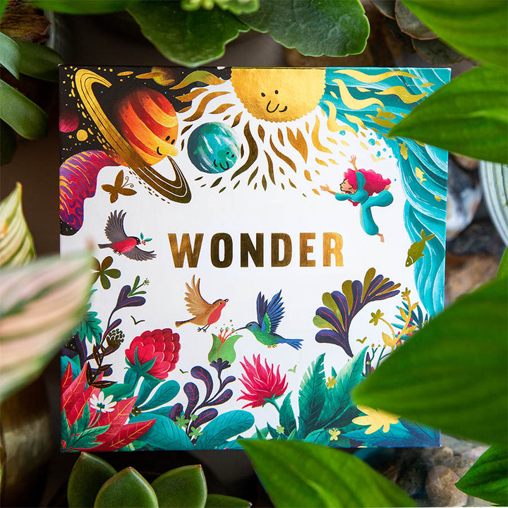 Wonder Box ESV - Re-vived