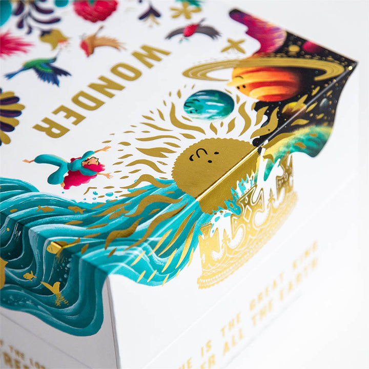 Wonder Box ESV - Re-vived