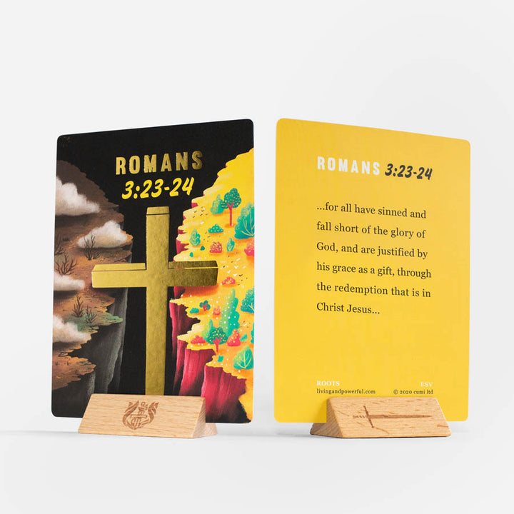 Wonder Box ESV - Re-vived