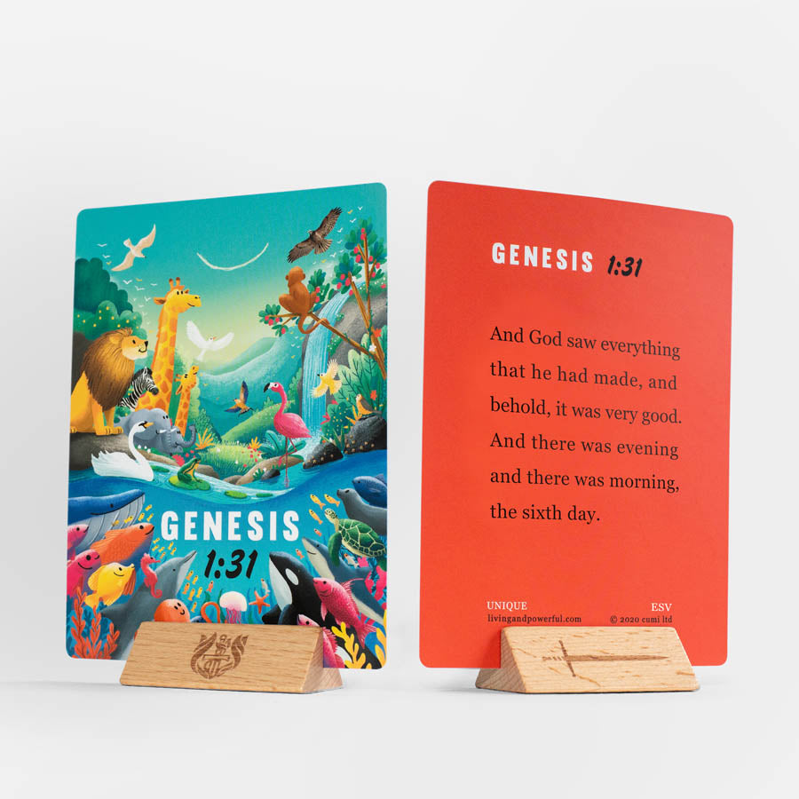Wonder Box ESV - Re-vived