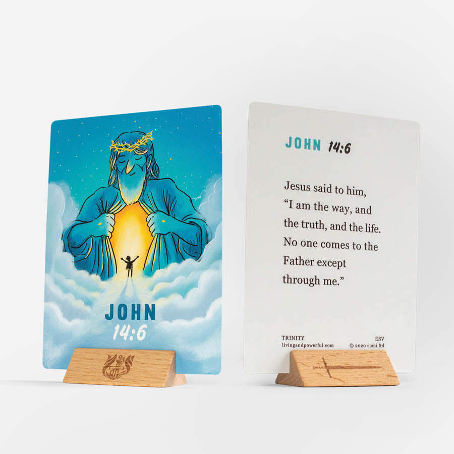 Wonder Box ESV - Re-vived