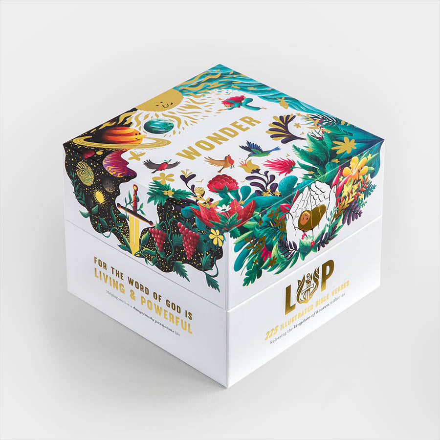 Wonder Box ESV - Re-vived
