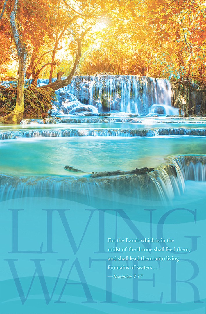 Living Waters Bulletin (Pack of 100) - Re-vived