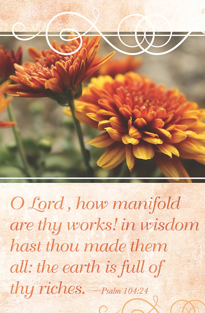 Earth Is Full Bulletin (Pack of 100) - Re-vived