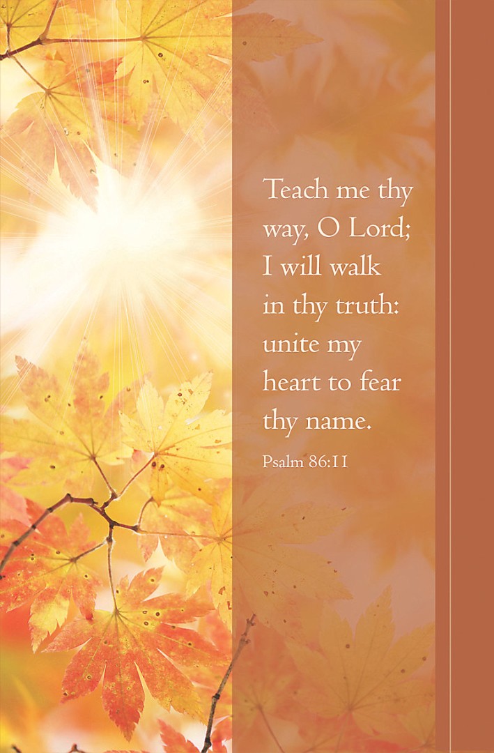 Teach Me Thy Way Bulletin (Pack of 100)