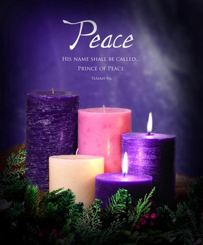 Peace Advent Large Bulletin (pack of 100)