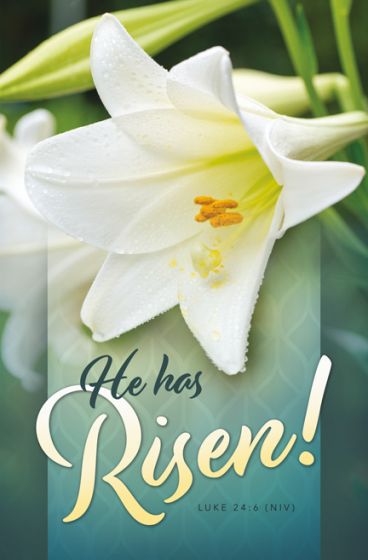 He Has Risen Easter Bulletin (Pack of 100) - Re-vived