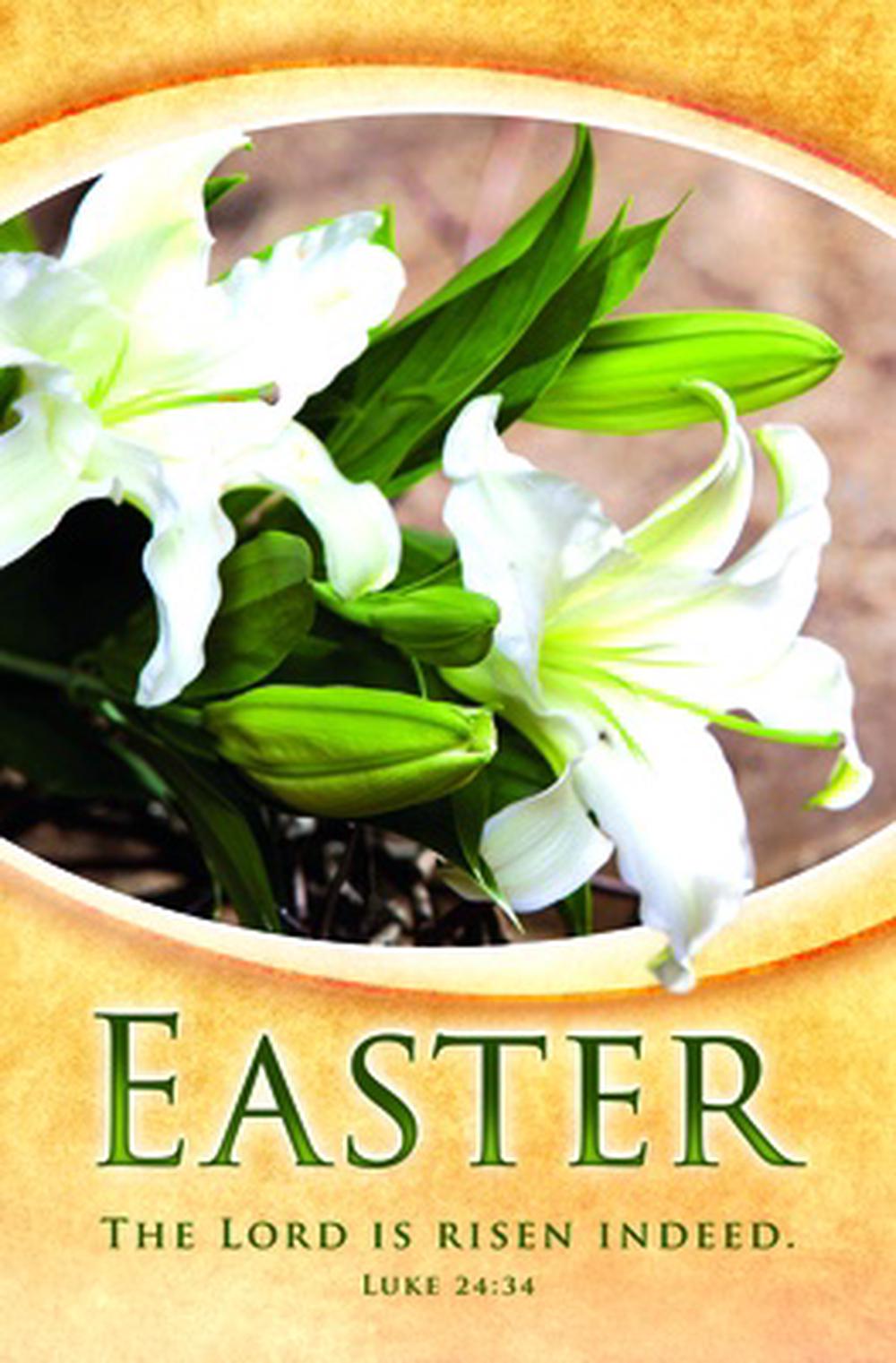 Easter the Lord Is Risen Indeed Bulletin (Pack of 100) - Re-vived
