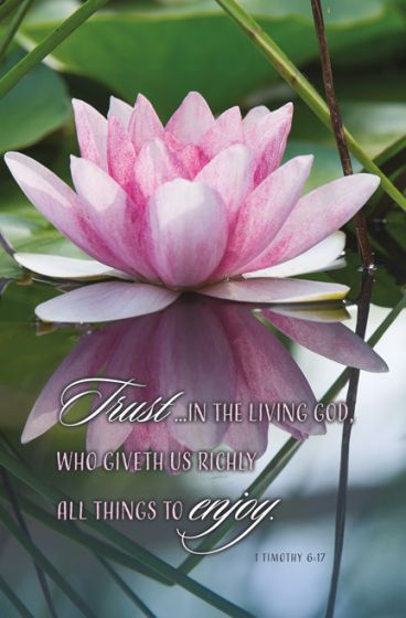 Trust in the Living God Bulletin (Pack of 100) - Re-vived