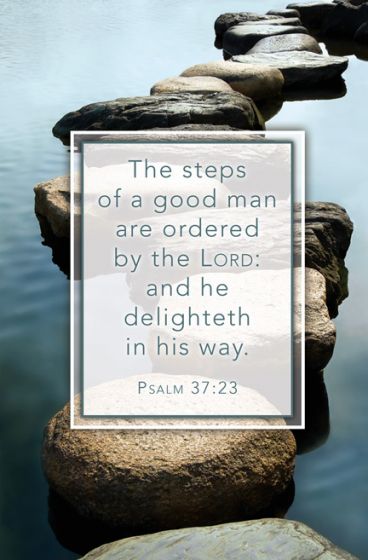 Stepping Stones Bulletin (Pack of 100) - Re-vived