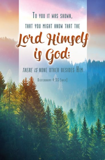 The Lord Himself is God Bulletin (Pack of 100) - Re-vived