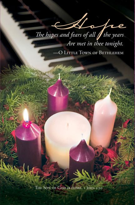 Advent Hope Bulletin (Pack of 100) - Re-vived